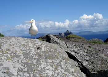 skelligs02